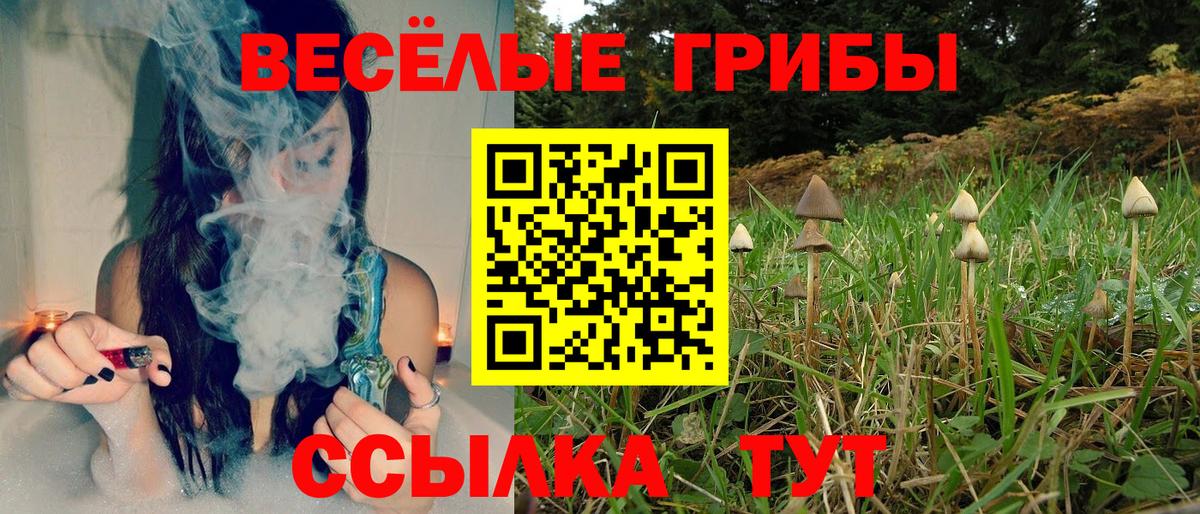Ульяновск  Галлюциногенные грибы MAGIC MUSHROOMS  Вход с VPN  цены   Галлюциногенные грибы Psilocybine cubensis 